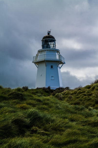 Trees surround the lighthouse
